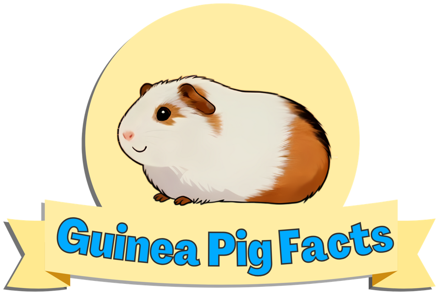 Guinea Pig Facts